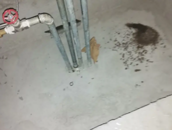 崇左卫生间测漏水价格明细