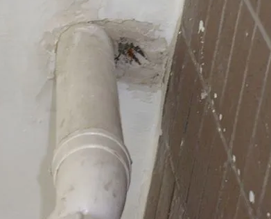 崇左漏水检测哪家好